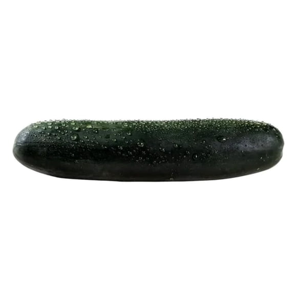 Pepino por kilo