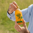 thumbnail image 3 of Bebida Viva Kombucha con probióticos Mango 377 ml, 3 of 5