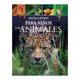 thumbnail image 1 of Enciclopedia para Niños: los Animales Silver Dolphin Arcturus Equipo Editorial, 1 of 2