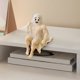 thumbnail image 4 of Fantasma de Halloween CLLC, Figura Decorativa de Halloween, Estatua de Fantasma Divertida y Sexy para Fiestas, Hogar, Dormitorio, Estante, Mesa, Centro de Mesa, Escultura de Fantasma de Resina (B), 4 of 8