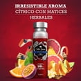 thumbnail image 3 of Spray Antitranspirante Old Spice Wolfthorn 93 gr / 150 ml, 3 of 5