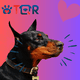 thumbnail image 2 of Placa DE identificación inteligente QR para PERRO TQR BY FAKIRGEEK Doberman rosa, 2 of 9