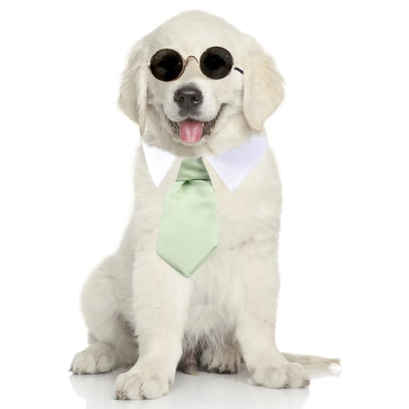Pajarita para mascotas Corbata para niños Corbata pequeña con estampado de rayas Corbata para perros 1523