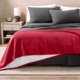 thumbnail image 2 of Manta de Cama de Felpa Sherpa Bare Home Reversible Liviana Tamaño King Roja, 2 of 6
