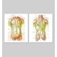 thumbnail image 3 of Set 2 Cuadros Decorativos, 3 of 4