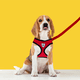 thumbnail image 4 of Pechera Para Mascotas Perro Malla Acolchonada Bandas Antirreflejantes Rojo Importadora La Merced Ultra Comóda, 4 of 5