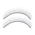 thumbnail image 4 of Pestañas Postizas De Atrenamiento De Extensión De Pestañas, 10 Pares Para Exposición De Maquillaje, 4 of 7