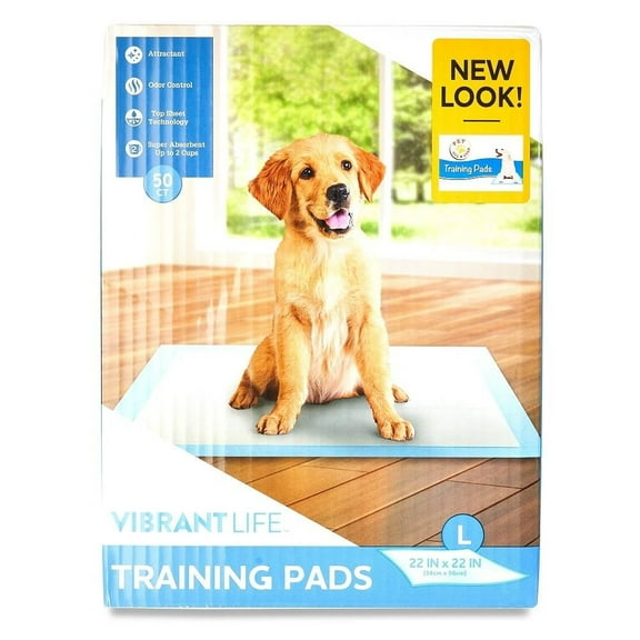 Tapetes Entrenadores Vibrant Life Grandes 50 Pzas