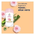 thumbnail image 3 of Antitranspirante Dove dermo aclarant skin calming en barra para dama 45 g, 3 of 6