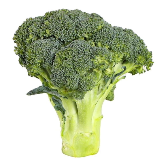 Brócoli Fresco Por Kilo