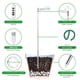 thumbnail image 5 of Lampara LED para Plantas en Interior Genérica HALO DE LUZ, 5 of 6