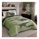 thumbnail image 3 of Set Edredon Providencia Microfibra Dinos 180 cm x 220 cm Verde, 3 of 4