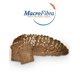 thumbnail image 1 of Pan Avena Macrofibra Integral sin Azucar Vegano sin Lactosa Macrobiotico E Integral 3 Panes, 1 of 7