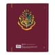 thumbnail image 4 of Carpeta Danpex Escolar Harry Poter 9 3/4, 4 of 4