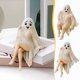thumbnail image 3 of Fantasma de Halloween CLLC, Figura Decorativa de Halloween, Estatua de Fantasma Divertida y Sexy para Fiestas, Hogar, Dormitorio, Estante, Mesa, Centro de Mesa, Escultura de Fantasma de Resina (A), 3 of 8