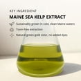 thumbnail image 3 of Aceite Facial Cold Current Kelp KelpGlow Lavanda Costera 30 ml, 3 of 6