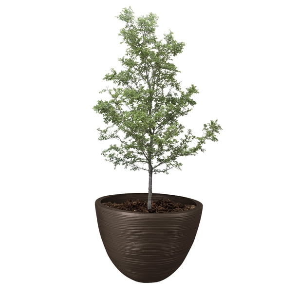 Atmos Homeware Macetas Decorativas para Interior y Exterior | 1 Maceta Grande de Plástico con Capacidad para 45 Litros | Modelo Kun color Chocolate 1 Piezas.
