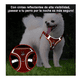 thumbnail image 3 of Pechera Arnés Con Bandas  Malubero ROJO talla L, 3 of 5