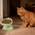 thumbnail image 4 of Plastic Cats Bowl Dog Bowl Cats Food Bowl Drinking Bowl To Cervical Vertebra Pet Bowl, 4 of 5