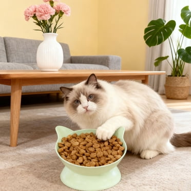 Cats Food Bowl Large Capacity Pet Food Bowl Cute Drinking Bowl For Cats To Protects The Neck