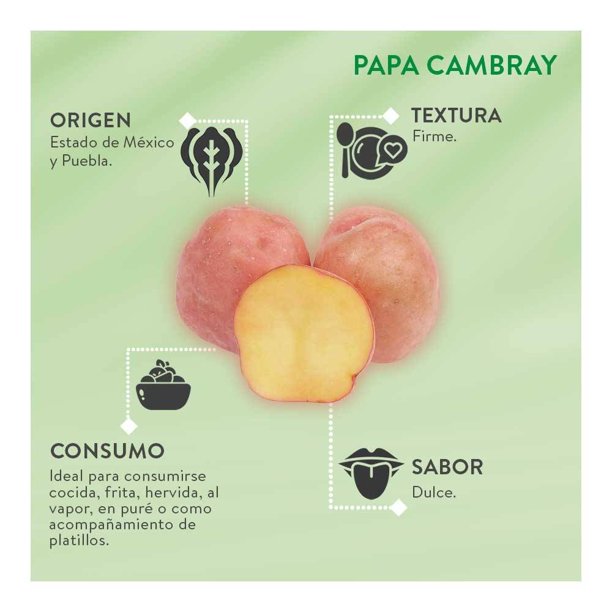 Imagen 5 de Papa Cambray Por Kilo