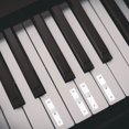thumbnail image 1 of FOMIYES 2Jgo Piano Introductory Sticker Para Principiantes Con Material Impermeable Y Apariencia, 1 of 8