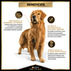thumbnail image 5 of Alimento para perro ProPlan Adulto Razas Medianas 7.5Kg Adulto Razas Medianas, 5 of 9