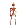 thumbnail image 2 of Decoración de pared Way to Celebrate Esqueleto De Halloween 40 Cm, 2 of 4