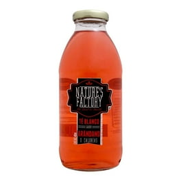 Té blanco Nature's Factory sabor arándano sin azúcar 485 ml