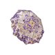 thumbnail image 1 of Sombrilla Plegable LIRIOS/ IRISES - Arte y originalidad, 1 of 5