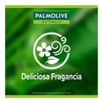 thumbnail image 2 of Jabón Líquido Corporal Palmolive Naturals Cereza y Leche de Coco 390 ml, 2 of 5