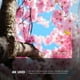 thumbnail image 4 of TV 65 Pulgadas RCA Smart TV UHD 4K R65M-U4G Google TV, 4 of 8
