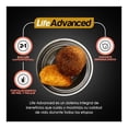 thumbnail image 4 of Alimento para perros Ganador Premium Adulto 4 kg Todas las edades, 4 of 4