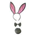thumbnail image 1 of KAKOWELY Juego de 3 piezas en 1 de accesorios para el cabello con orejas de conejo, color gris, divertidos para fiestas de Pascua, festivales, fiestas de disfraces y actuaciones., 1 of 5