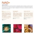 thumbnail image 4 of NAD+ 200 capsulas 1300mg ETERNAL NUTRITION con Trimethylglycine y Acido Alpha Lipoico, 4 of 9