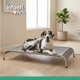 thumbnail image 2 of Cama elevada para mascotas Infanti Pets extragrande, 2 of 4