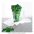 thumbnail image 4 of Mezcla de hojas superfood 5 Vegetalistos 200 g, 4 of 7