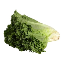 Lechuga italiana por pieza