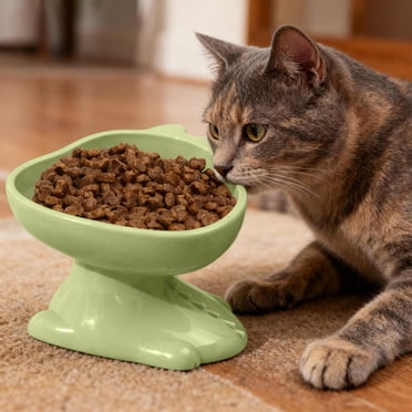 Plastic Cats Bowl Dog Bowl Cats Food Bowl Drinking Bowl To Cervical Vertebra Pet Bowl