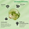 thumbnail image 4 of Lechuga romana por pieza, 4 of 5