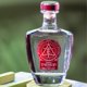 thumbnail image 3 of Pack de 12 Tequila Enemigo Blanco 55 750 ml, 3 of 3