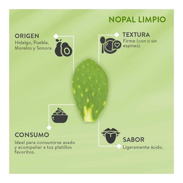 Imagen 5 de Nopal Limpio Por Kilo
