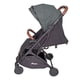 thumbnail image 2 of Carriola para Bebé de Viaje Plegable D'Bebe 3 a 36 meses hasta 15 kg, 2 of 4
