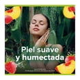 thumbnail image 4 of Jabon de Baño Palmolive Naturals Sensación Humectante Yoghurt y Frutas 4 x 120 g, 4 of 4
