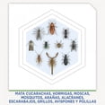 thumbnail image 4 of Insecticida Raid MAX Doble Acción en Aerosol, Mata Insectos Voladores y rastreros, 500mL, 4 of 7