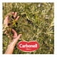 thumbnail image 4 of Aceitunas negras Carbonell deshuesadas 180 g, 4 of 4