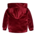 thumbnail image 3 of Chándales De Ropas Deportivas Sudadera Con Capucha De Bolsillo Frontal Con Pantalones Casuales Para Bebés Niños 18-24M, 3 of 8