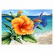 thumbnail image 1 of Rc Gold Edition 300 Pzs WuundenToy Belleza en La Playa, 1 of 7