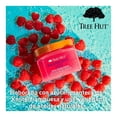 thumbnail image 3 of Exfoliante corporal Tree Hut raspberry fizz azúcar de karité 510 g, 3 of 4