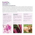 thumbnail image 4 of NAD+ NR Complex Eternal Nutrition 100 Cápsulas 1200 mg, 4 of 8